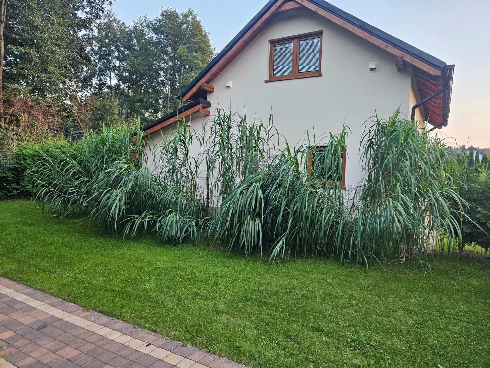 Osada Cztery Pory Roku - Dom Jesien Villa Kopalino Eksteriør billede
